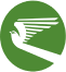 Turkmenistan Airlines